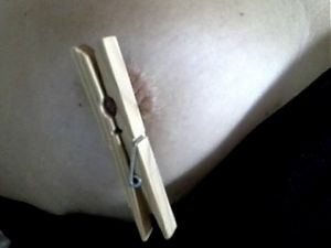 Tits tortured with clothespins